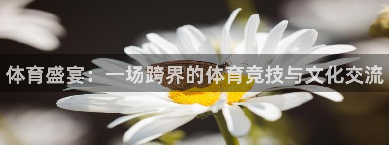 杏彩xc体育官网注册