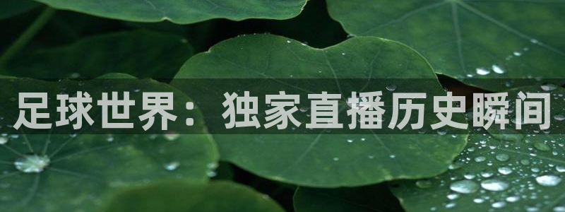 xc网络意思