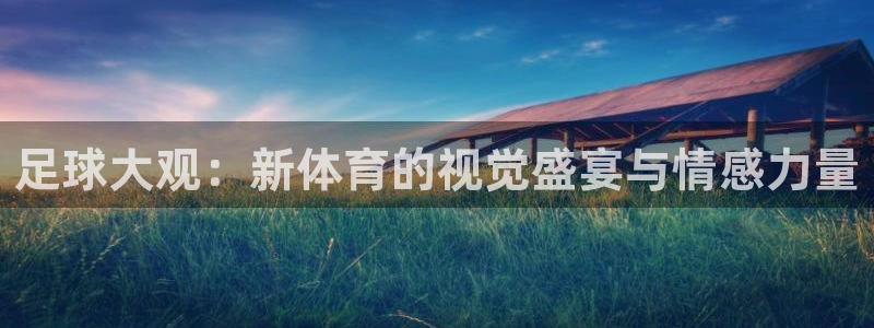 杏彩xc2登录