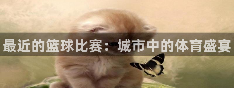 xc是哪个部位
