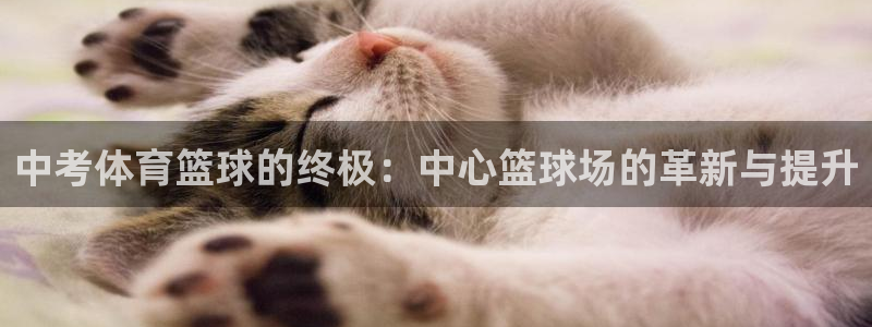 佛山市南海杏彩xc机电仪器有限公司
