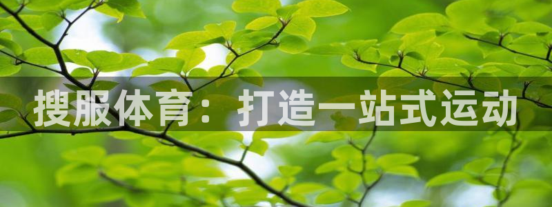 沃尔沃xc 90