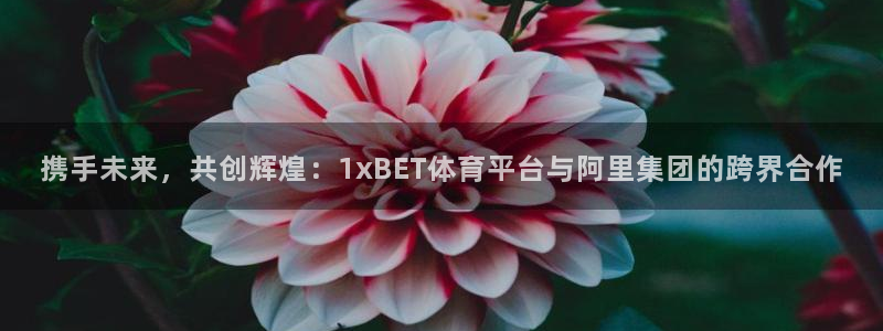 杏彩xc凯捷开号链接